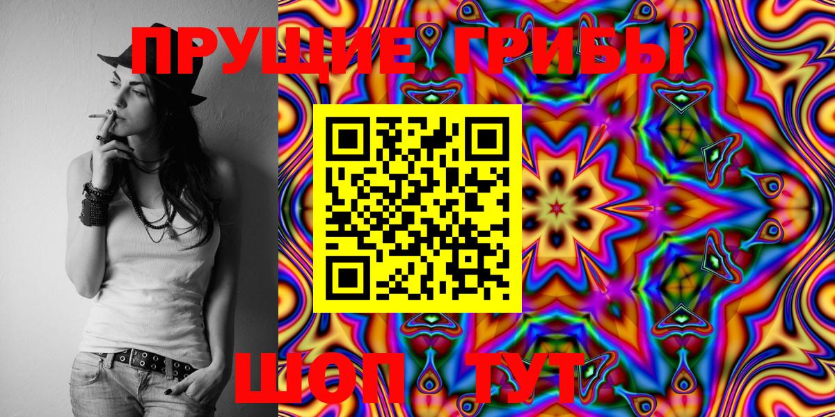 Псилоцибиновые грибы Psilocybe Лабытнанги